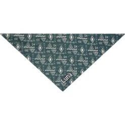 Frisco Boho Geo Personalized Dog & Cat Bandana -Frisco Shop 267559 PT3. AC SS1800 V1623094369