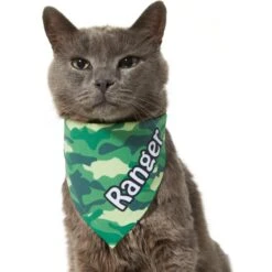 Frisco Green Camo Personalized Dog & Cat Bandana 15 Frisco Green Camo Personalized Dog & Cat Bandana -Frisco Shop 267563 PT8. AC SS1800 V1623182074