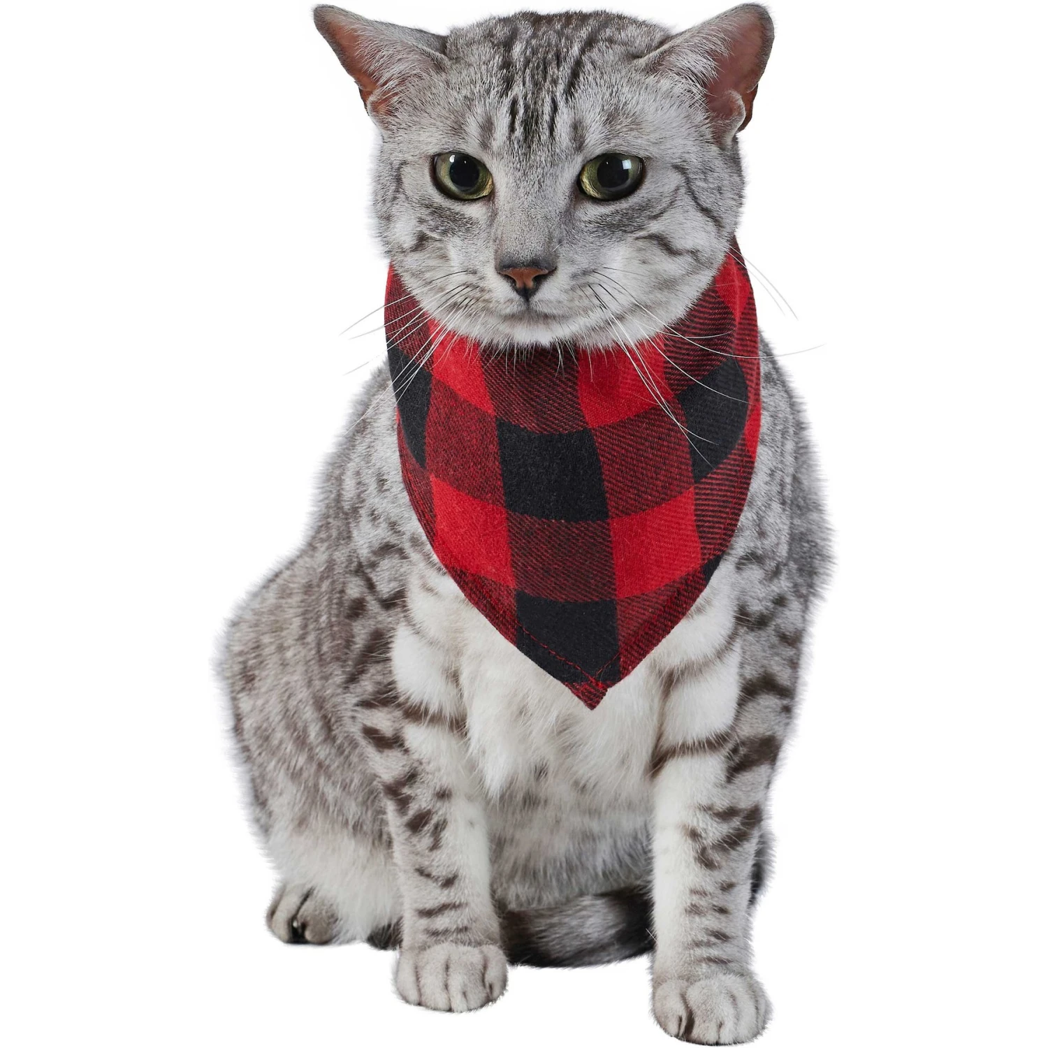 Red Buffalo Plaid Dog & Cat Bandana 4 Red Buffalo Plaid Dog & Cat Bandana - Image 4