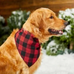 Red Buffalo Plaid Dog & Cat Bandana 13 Red Buffalo Plaid Dog & Cat Bandana -Frisco Shop 267899 PT5. AC SS1800 V1637666506