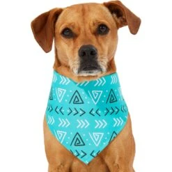 Frisco Geometric Dog & Cat Bandana 10 Frisco Geometric Dog & Cat Bandana -Frisco Shop 267907 PT2. AC SS1800 V1637653589