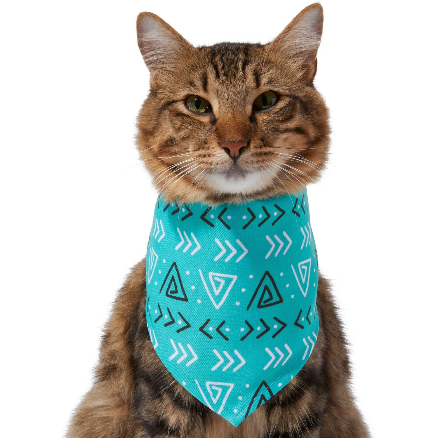 Frisco Geometric Dog & Cat Bandana 4 Frisco Geometric Dog & Cat Bandana - Image 4