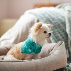 Frisco Geometric Dog & Cat Bandana 13 Frisco Geometric Dog & Cat Bandana -Frisco Shop 267907 PT5. AC SS1800 V1637652153