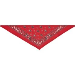 Frisco Red Paisley Dog & Cat Bandana 12 Frisco Red Paisley Dog & Cat Bandana -Frisco Shop 267919 PT4. AC SS1800 V1637674037
