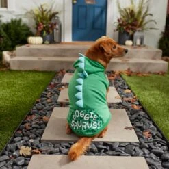 Frisco Doggiesaurus Dog & Cat Hoodie, Green -Frisco Shop 268033 PT8. AC SS1800 V1629763006