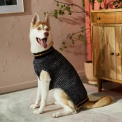 Frisco Heathered Knit Dog & Cat Sweater With 60% Recycled Content 13 Frisco Heathered Knit Dog & Cat Sweater With 60% Recycled Content -Frisco Shop 268159 PT8. AC SS1800 V1629758773