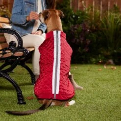 Frisco Mediumweight Reflective 2-in-1 Dog & Cat Fleece Coat 11 Frisco Mediumweight Reflective 2-in-1 Dog & Cat Fleece Coat -Frisco Shop 268359 PT8. AC SS1800 V1629759326