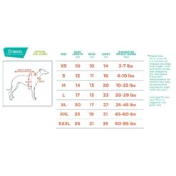 Frisco Heavyweight Anchorage Insulated Dog & Cat Parka, Yellow/Black -Frisco Shop 268397 PT1. AC SS1800 V1628639199