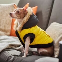 Frisco Heavyweight Anchorage Insulated Dog & Cat Parka, Yellow/Black -Frisco Shop 268397 PT8. AC SS1800 V1629761431