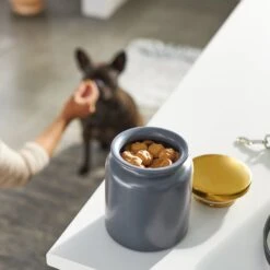 Frisco Modern Gold Rim Ceramic Treat Jar 7 Frisco Modern Gold Rim Ceramic Treat Jar -Frisco Shop 270190 PT2. AC SS1800 V1620762371