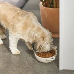 Frisco Dog Face Non-skid Ceramic Cat & Dog Bowl -Frisco Shop 270226 PT2. AC SS1800 V1620762156