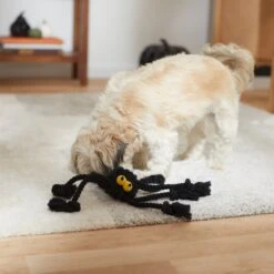 Frisco Halloween Spider Rope Dog Toy 6 Frisco Halloween Spider Rope Dog Toy -Frisco Shop 270504 PT3. AC SS1800 V1624825021