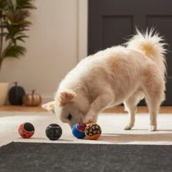 Frisco Halloween Glow In The Dark Fetch Squeaky Tennis Ball Dog Toy -Frisco Shop 270525 PT3. AC SS1800 V1624824980