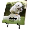 Frisco Personalized Basic Ceramic Photo Tile With Stand