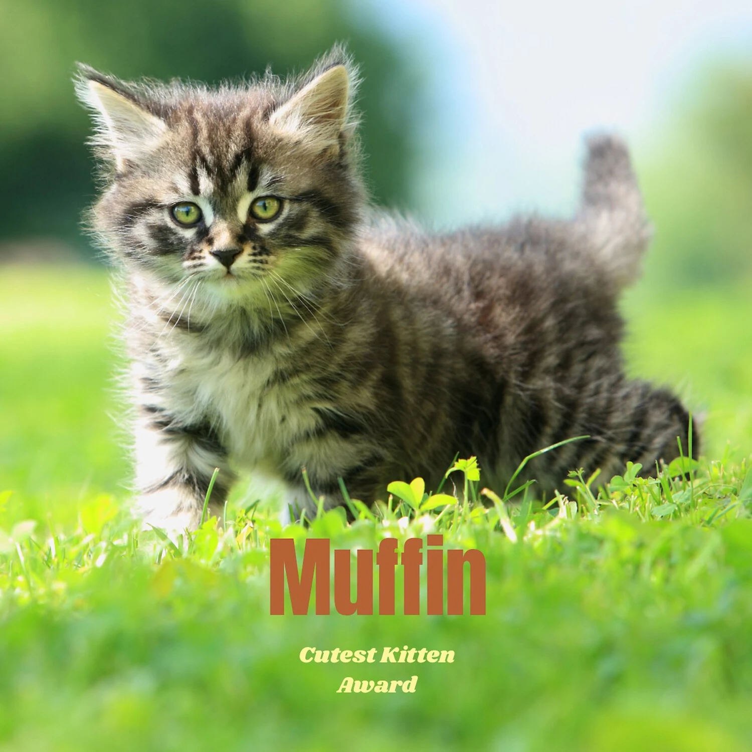 Frisco Personalized Basic Ceramic Photo Tile With Stand 3 Frisco Personalized Basic Ceramic Photo Tile With Stand - Image 3