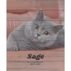 Frisco Personalized "Classic Photo" Rustic Wood Wall Decor, 16" X 20" 5 Frisco Personalized "Classic Photo" Rustic Wood Wall Decor, 16" X 20" -Frisco Shop 271233 PT2. AC SS1800 V1621028279