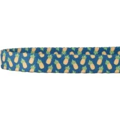 Frisco Pineapple Polyester Personalized Breakaway Cat Collar With Bell -Frisco Shop 271597 PT3. AC SS1800 V1618937222