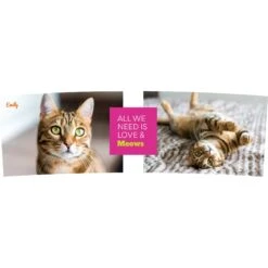 Frisco "Classic" Double Walled Personalized Tumbler. 30-oz -Frisco Shop 272541 PT2. AC SS1800 V1625686095