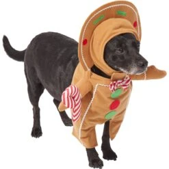 Frisco Front Walking Gingerbread Dog & Cat Costume -Frisco Shop 276156 PT3. AC SS1800 V1631660334