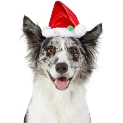 Frisco Holiday Poms Dog & Cat Santa Hat 7 Frisco Holiday Poms Dog & Cat Santa Hat -Frisco Shop 276194 PT2. AC SS1800 V1631303507