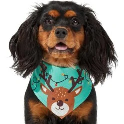 Frisco Peekaboo Reindeer Dog & Cat Bandana 11 Frisco Peekaboo Reindeer Dog & Cat Bandana -Frisco Shop 276198 PT3. AC SS1800 V1637687013