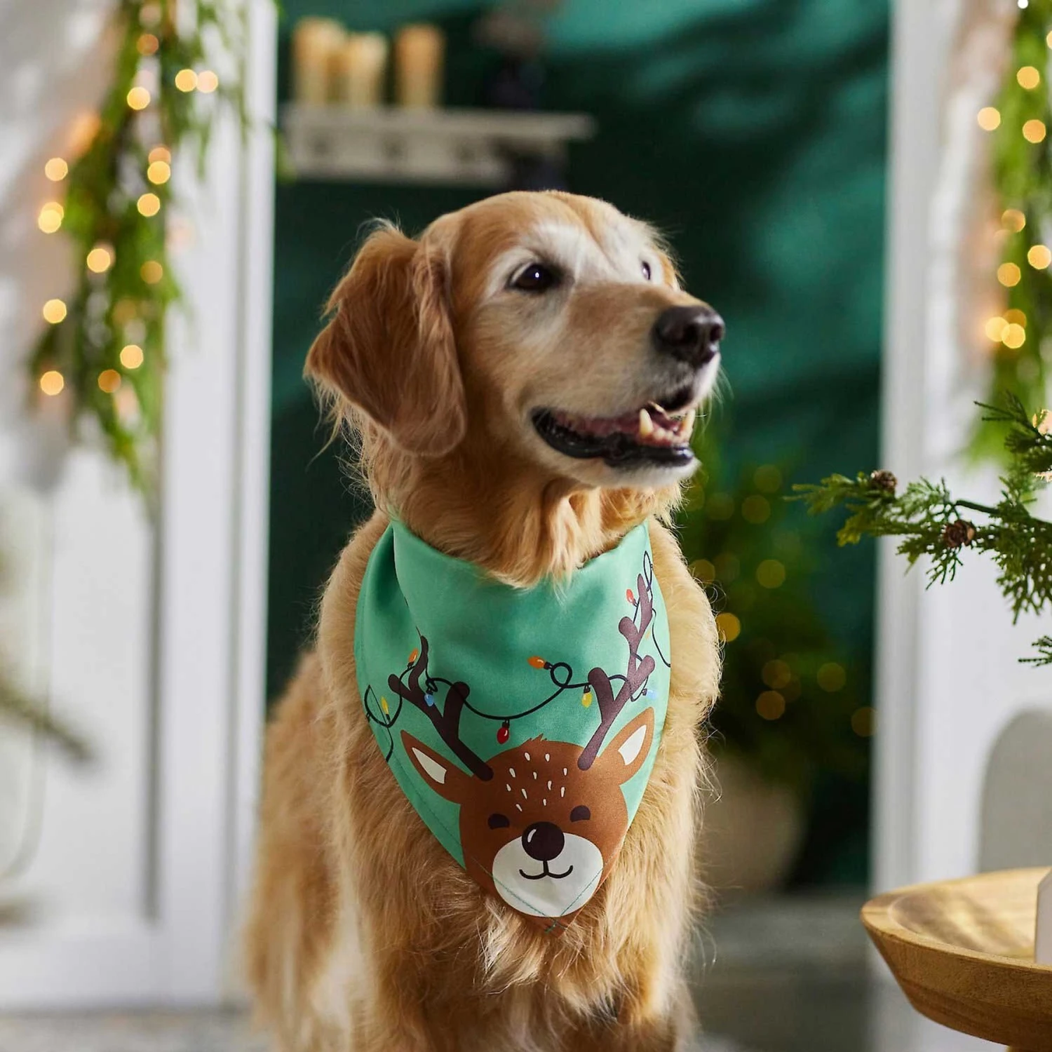 Frisco Peekaboo Reindeer Dog & Cat Bandana 6 Frisco Peekaboo Reindeer Dog & Cat Bandana - Image 6