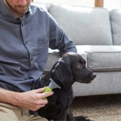 Frisco Soft Slicker Dog Brush, One Size & Frisco Deshedding Dog & Cat Brush 13 Frisco Soft Slicker Dog Brush, One Size & Frisco Deshedding Dog & Cat Brush -Frisco Shop 276229 PT6. AC SS1800 V1616191886