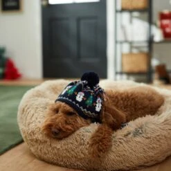 Frisco Jolly Snowman Dog & Cat Knitted Hat 9 Frisco Jolly Snowman Dog & Cat Knitted Hat -Frisco Shop 276303 PT8. AC SS1800 V1631300384
