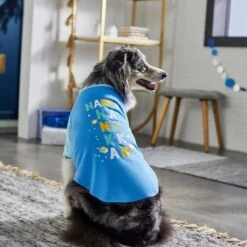 Frisco Happy Hanukkah Dog & Cat T-shirt 11 Frisco Happy Hanukkah Dog & Cat T-shirt -Frisco Shop 276480 PT5. AC SS1800 V1637646712