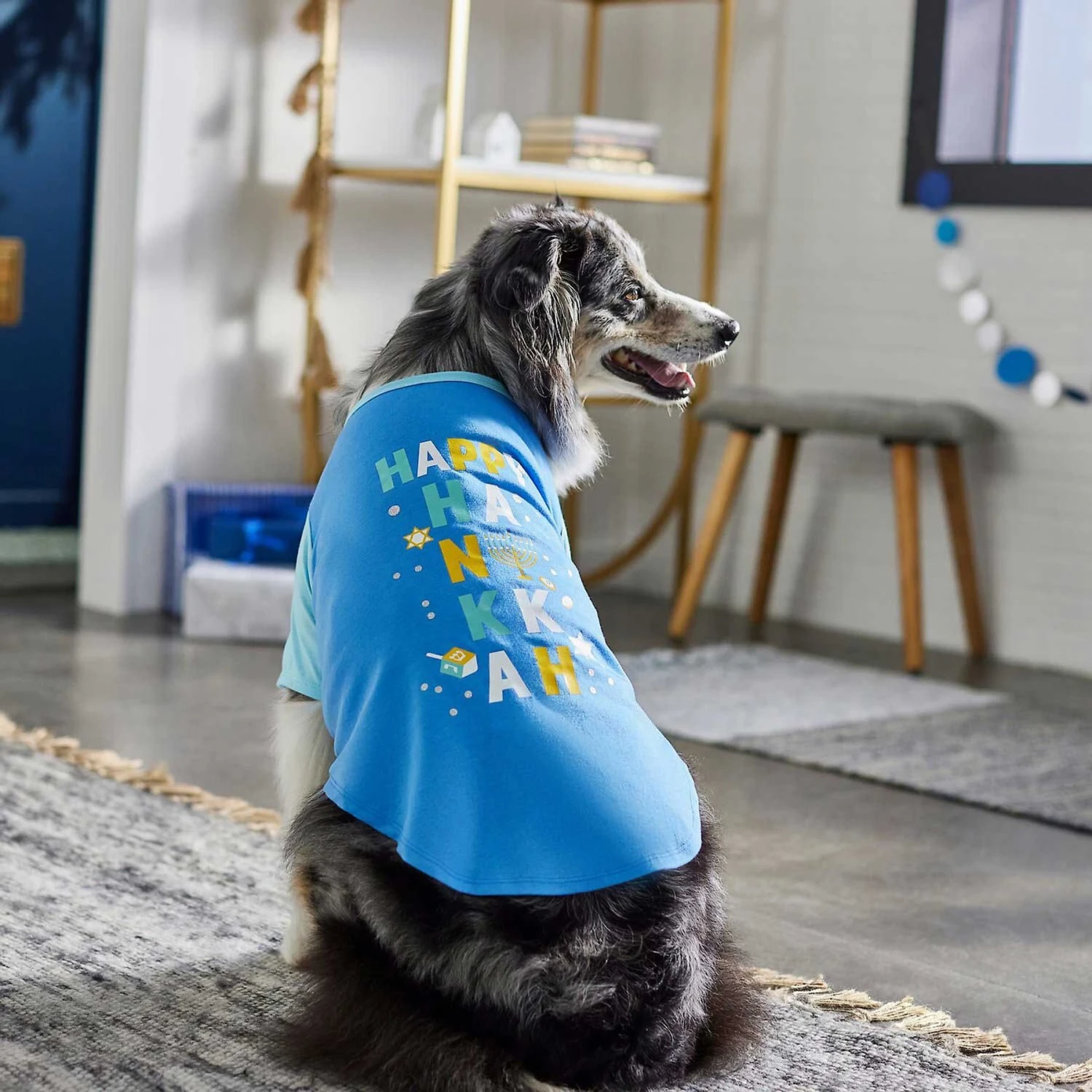 Frisco Happy Hanukkah Dog & Cat T-shirt 6 Frisco Happy Hanukkah Dog & Cat T-shirt - Image 6