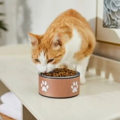 Frisco Paw Print Non-Skid Stainless Steel Dog & Cat Bowl 10 Frisco Paw Print Non-Skid Stainless Steel Dog & Cat Bowl -Frisco Shop 277546 PT3. AC SS1800 V1630347716