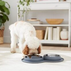 Frisco Silicone Stainless Steel Double Diner Slow Feeder Dog & Cat Bowl, Grey, 3 Cup -Frisco Shop 277549 PT2. AC SS1800 V1630346823