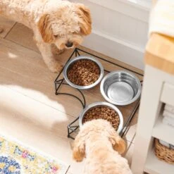 Frisco Multi Pet Feeding Corner 3-Bowls Stainless Steel Dog & Cat Bowl 8 Frisco Multi Pet Feeding Corner 3-Bowls Stainless Steel Dog & Cat Bowl -Frisco Shop 277561 PT2. AC SS1800 V1630346973