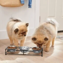 Frisco Multi Pet Feeding 3-Bowls Straight Stainless Steel Dog & Cat Bowl -Frisco Shop 277568 PT2. AC SS1800 V1630346795