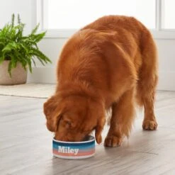 Frisco Personalized Watercolor Dog Bowl -Frisco Shop 278942 PT3. AC SS1800 V1629147399