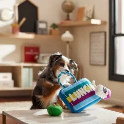 Frisco Back To School Lunchbox With Juice & Apple Plush With Rope Squeaky Dog Toy -Frisco Shop 279427 PT3. AC SS1800 V1628191372