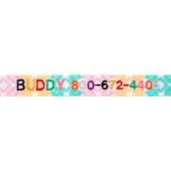 Frisco Pastel Tie Dye Polyester Personalized Dog Collar -Frisco Shop 280770 PT2. AC SS1800 V1621540643
