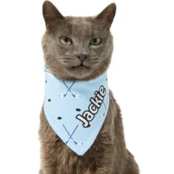 Frisco Ice Hockey Personalized Dog & Cat Bandana 16 Frisco Ice Hockey Personalized Dog & Cat Bandana -Frisco Shop 287048 PT7. AC SS1800 V1623246478