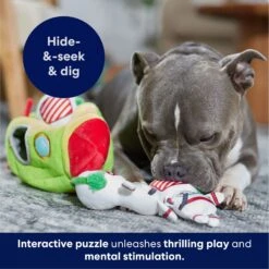 Frisco Holiday Rocket Ship Hide & Seek Puzzle Plush Squeaky Dog Toy 12 Frisco Holiday Rocket Ship Hide & Seek Puzzle Plush Squeaky Dog Toy -Frisco Shop 287101 PT5. AC SS1800 V1695659151
