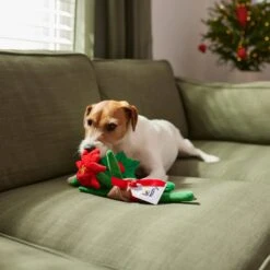 Frisco Flower Bouquet Plush Squeaky Dog Toy -Frisco Shop 287163 PT3. AC SS1800 V1632776821