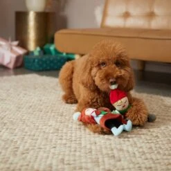 Frisco Holiday Carolers Plush Squeaky Dog Toy, 3 Count -Frisco Shop 287169 PT3. AC SS1800 V1632774907