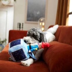 Frisco Nutcracker-in-a-Box Plush Squeaky Dog Toy 7 Frisco Nutcracker-in-a-Box Plush Squeaky Dog Toy -Frisco Shop 287173 PT3. AC SS1800 V1632773316