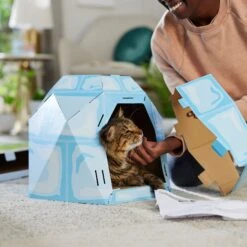 Frisco Igloo Cardboard Cat House -Frisco Shop 287293 PT3. AC SS1800 V1692035199