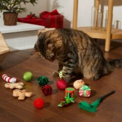 Frisco Holiday Festive Red Variety Pack Gift Box Cat Toy With Catnip, 14 Count 8 Frisco Holiday Festive Red Variety Pack Gift Box Cat Toy With Catnip, 14 Count -Frisco Shop 287305 PT3. AC SS1800 V1632773836