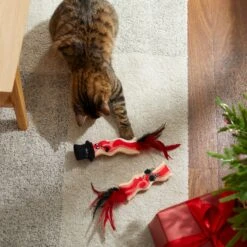 Frisco Holiday Bacon Plush Cat Toy With Catnip, 2 Count 5 Frisco Holiday Bacon Plush Cat Toy With Catnip, 2 Count -Frisco Shop 287377 PT3. AC SS1800 V1632773555