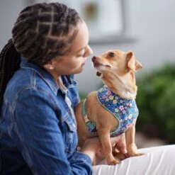 Frisco Fashion Over-The-Head Harness, Tropical Floral -Frisco Shop 287476 PT8. AC SS1800 V1632316953