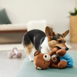 Frisco Yoga Bear Plush Squeaky Dog Toy 5 Frisco Yoga Bear Plush Squeaky Dog Toy -Frisco Shop 288903 PT3. AC SS1800 V1638288516