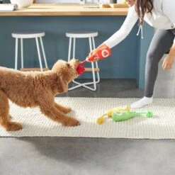 Frisco New Year, New Me Juice Cleanse Plush Squeaky Dog Toy 5 Frisco New Year, New Me Juice Cleanse Plush Squeaky Dog Toy -Frisco Shop 288929 PT3. AC SS1800 V1638289348