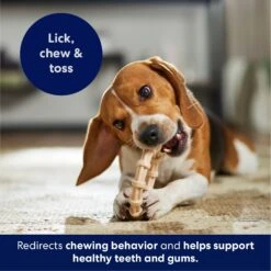 Frisco Ring Tough Nylon Chew Dog Toy, Chicken Flavor -Frisco Shop 290533 PT4. AC SS1800 V1695760990