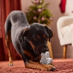 Frisco Holiday Nylon Snowflake Dog Chew Toy, Peanut Butter Flavor, Medium 7 Frisco Holiday Nylon Snowflake Dog Chew Toy, Peanut Butter Flavor, Medium -Frisco Shop 291387 PT3. AC SS1800 V1629306692